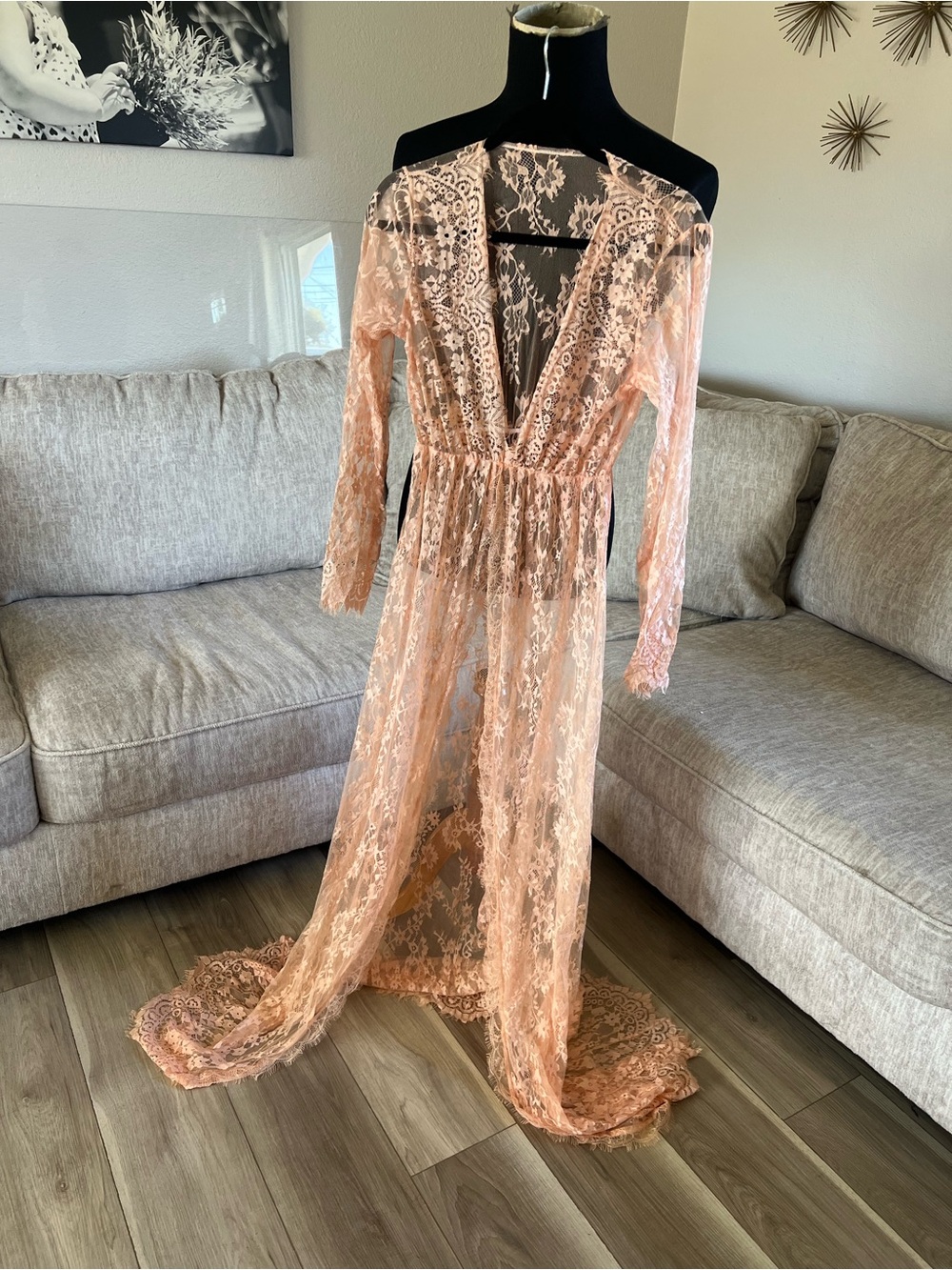 Sheer Lace Long Sleeve Maxi Dress in Blush